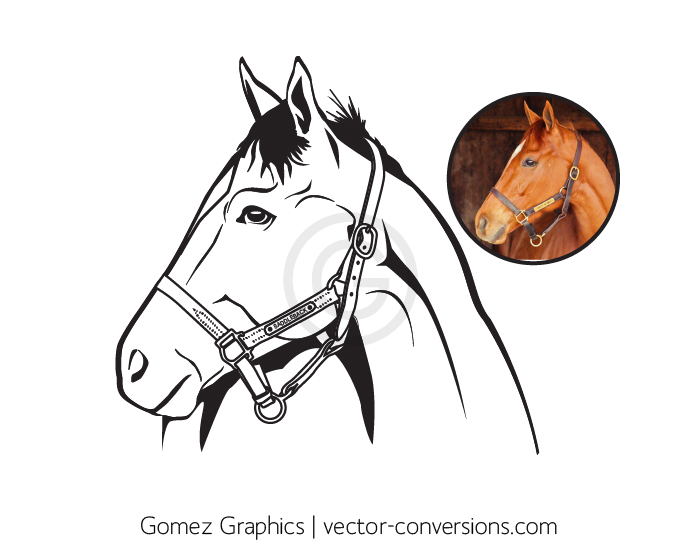 Custom Vector line drawing of a horse head.