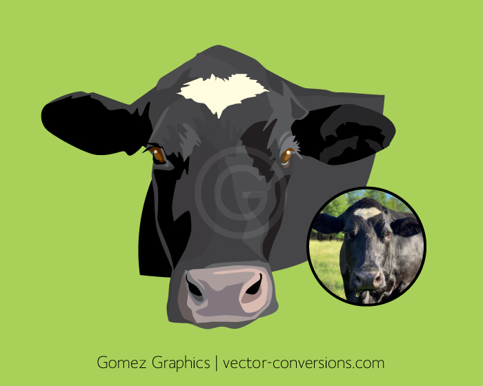Photo to vector conversion. Vector drawing of a cow for stickers.