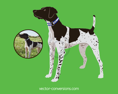 Simplified vector drawing of a dog using 4 Pantone spot colors.