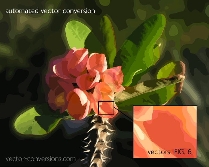 Vector conversion of a photograph