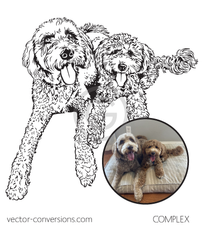 Complex vector conversion drawing