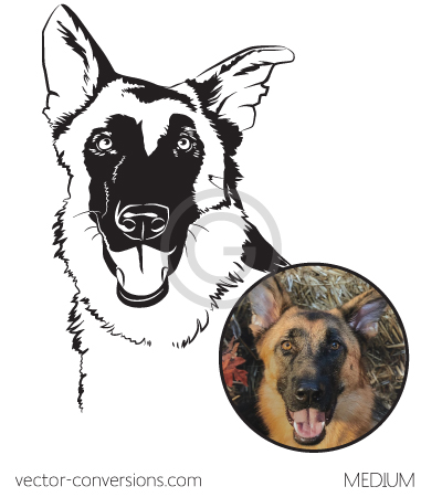 Medium level of detail vectorization