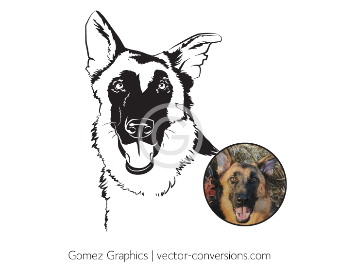 Black and white line art drawing of a shepherd dog.