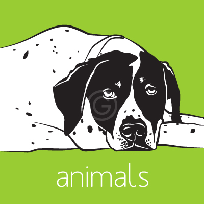 Custom vector drawings of animals and pets