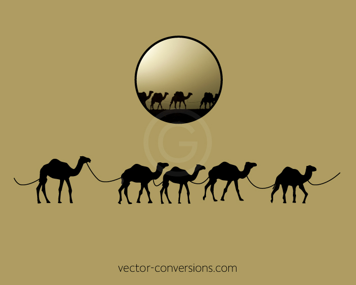 Vector silhouette of camels