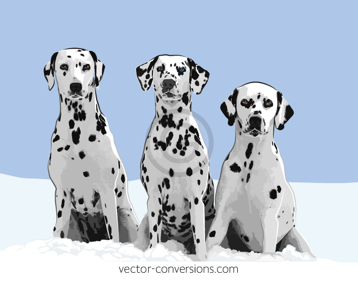 Vector Dalmatian dogs