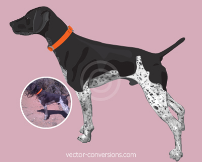 Custom vector graphic of a dog for printing.