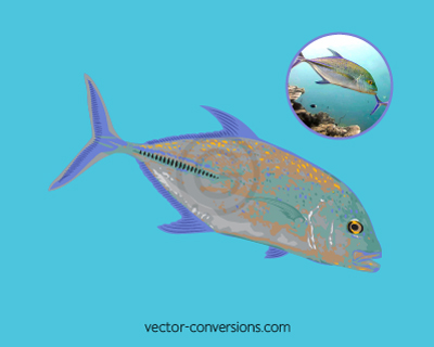Custom vector drawing of a fish