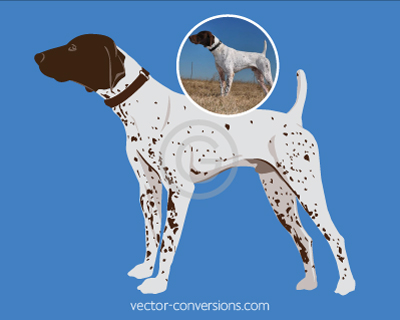 Vector color illustration of a dog for screen printing on fabric