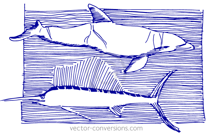 Vector Line Drawing of a Porpoise and Sailfish