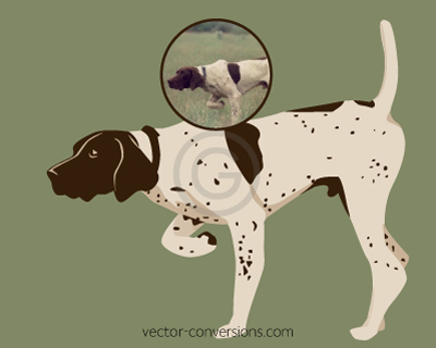Custom vector drawing of a dog using only 3 colors for embroidery and silk screen purposes.