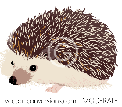 Redraw vector format moderate level of detail